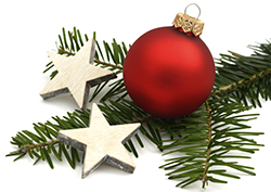 Christmas Ornament